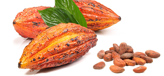 Fruto y semillas de cacao